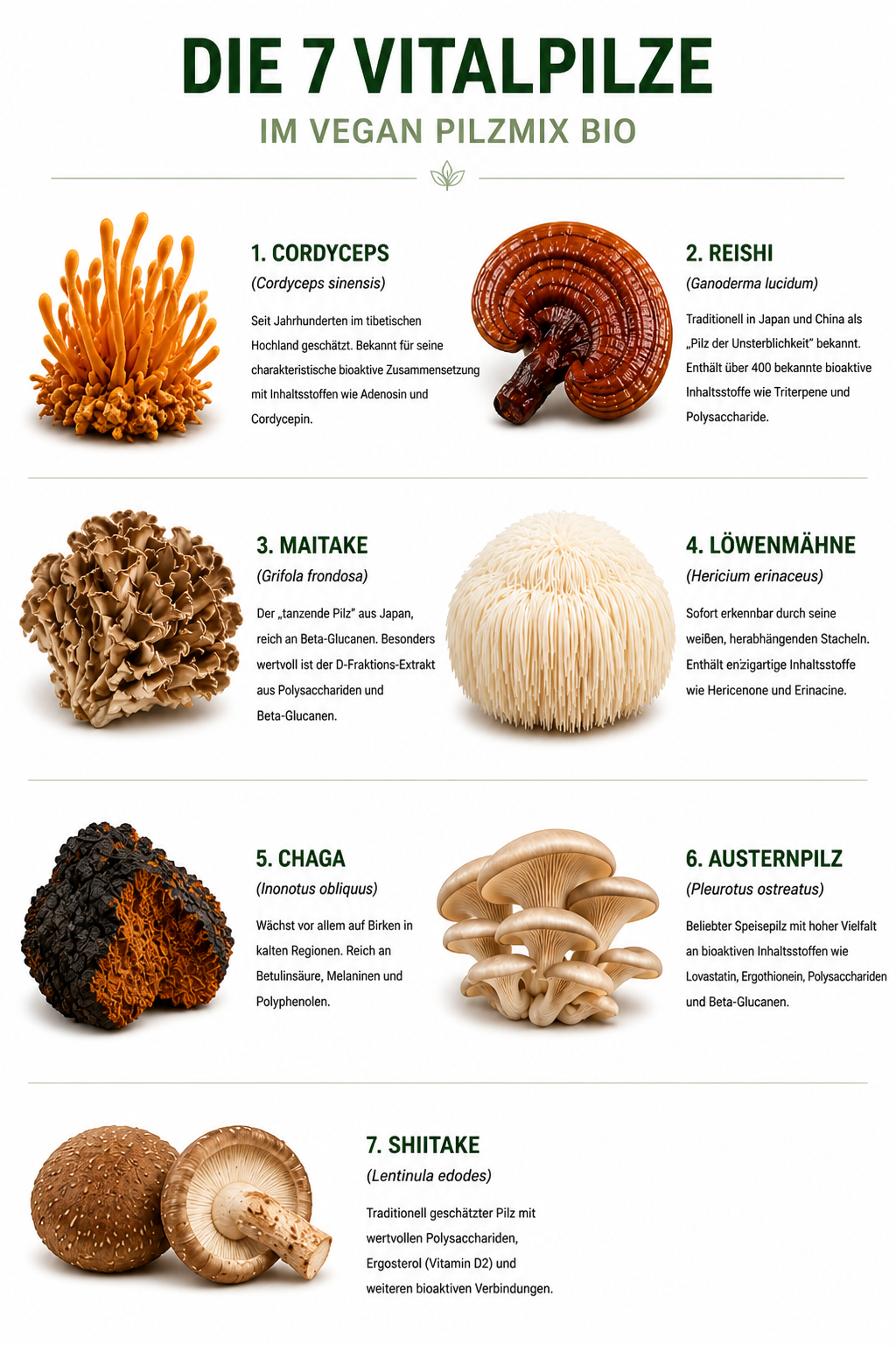 Bio-Pilzmischung aus 7 Pilzen - vegan -