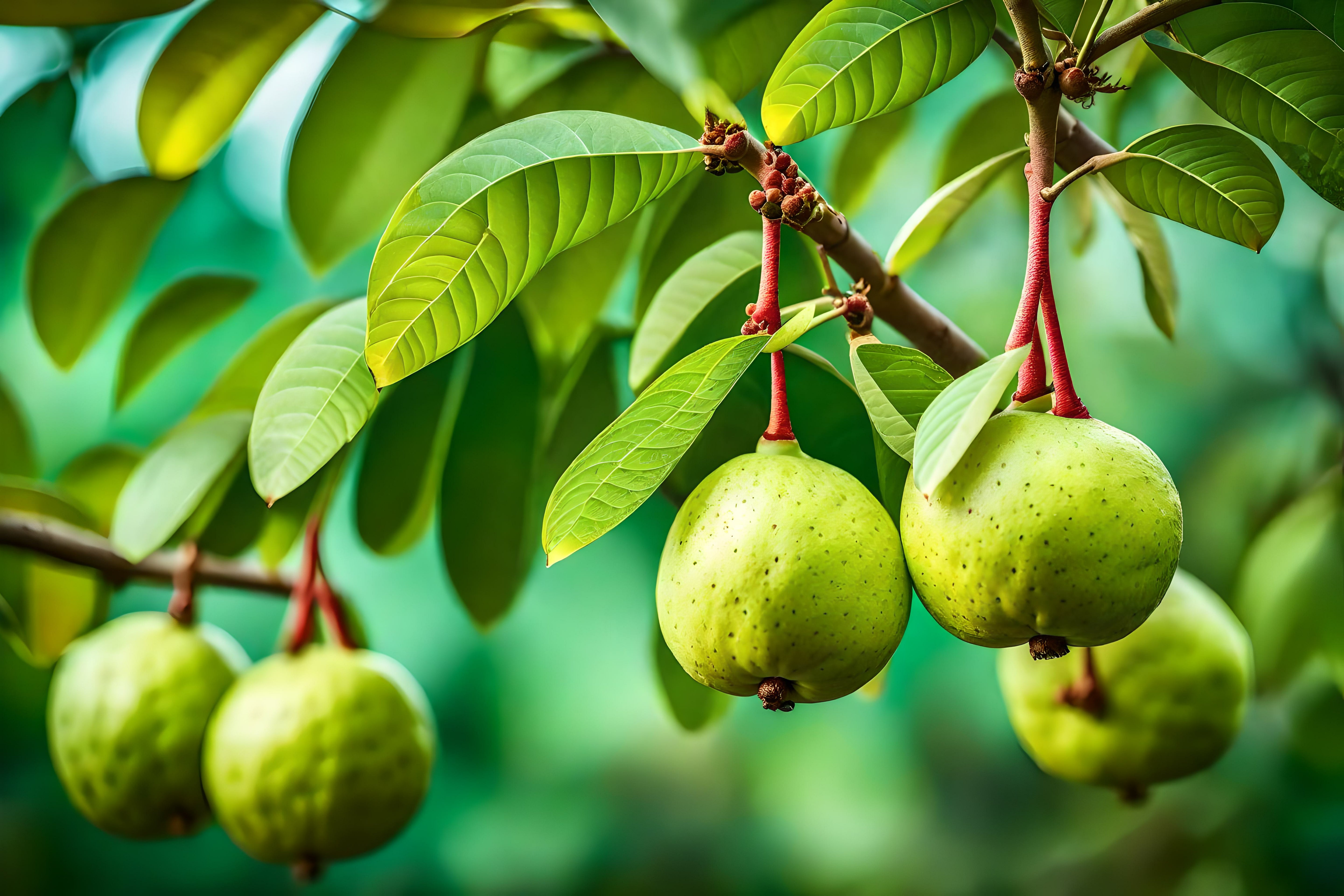 Zink 10 Plus - Acerola + Aminosäuren  (á 10 mg Zink-natürliche Quelle)