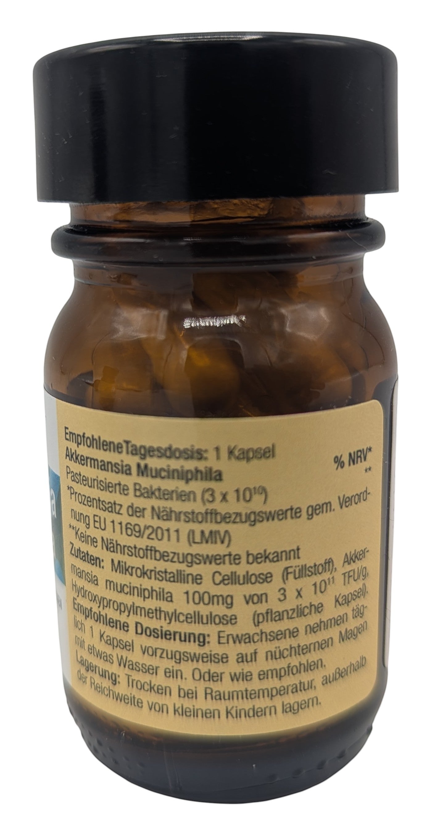 Akkermansia muciniphila pasteurisiert 30 Mrd/Kaps
