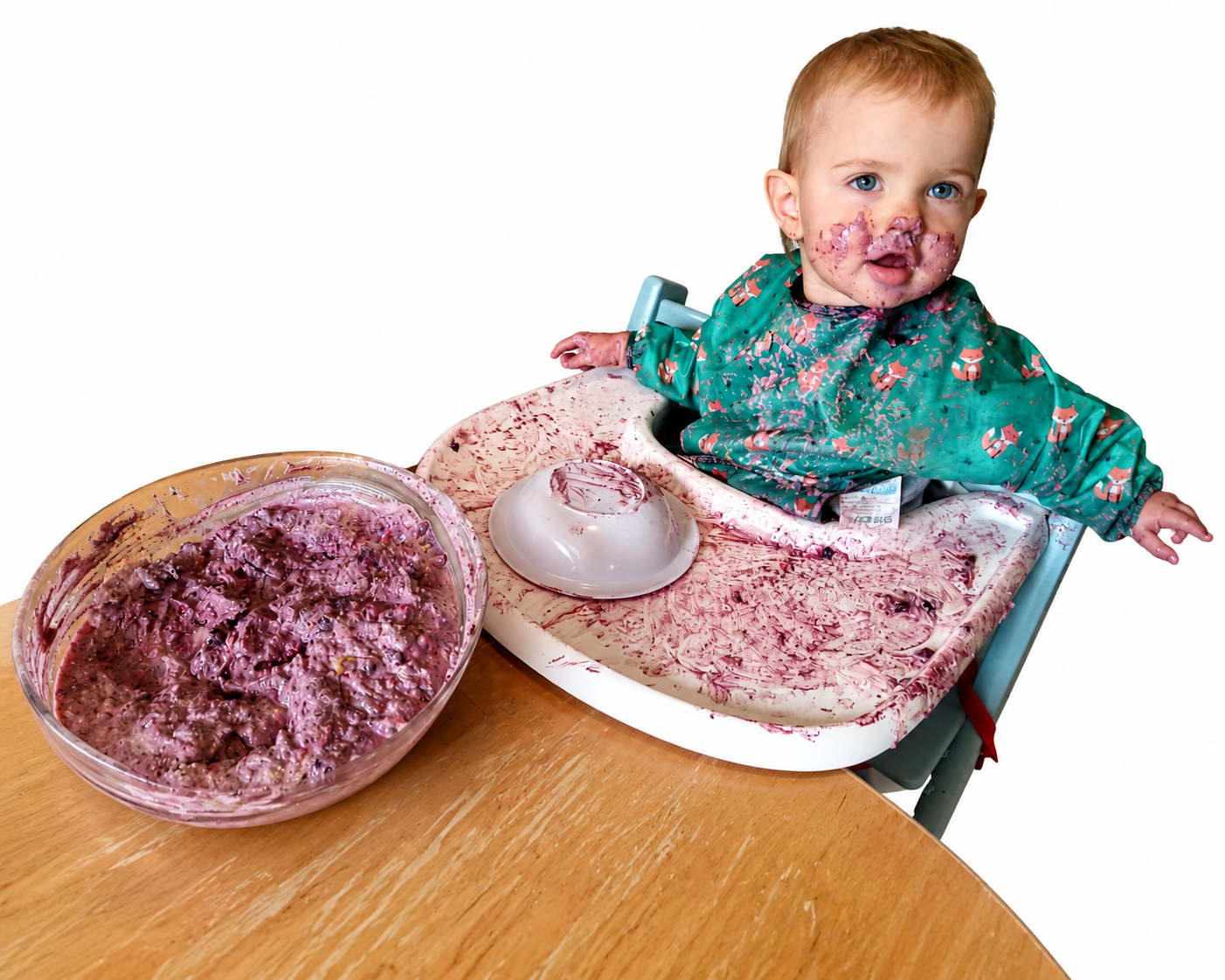 Bio-Hansekraft - vegan & glutenfrei