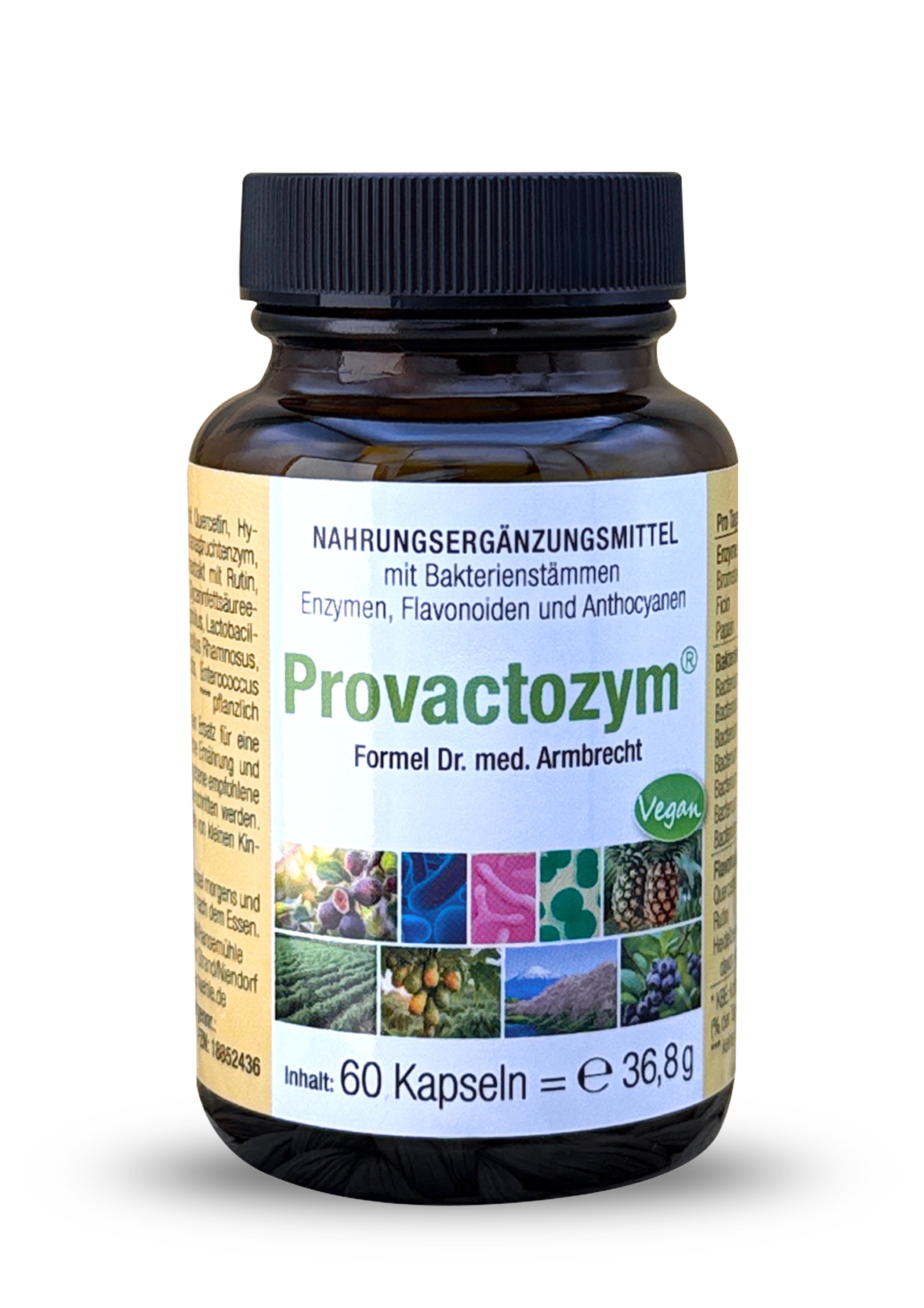 Provactozym® Bakterienstämme, Enzyme, Flavonoide und Anthocyane