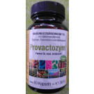 Provactozym® 60 Kapseln - Bakterienstämme, Enzyme, Flavonoide und Anthocyane - PZN: 18852436   